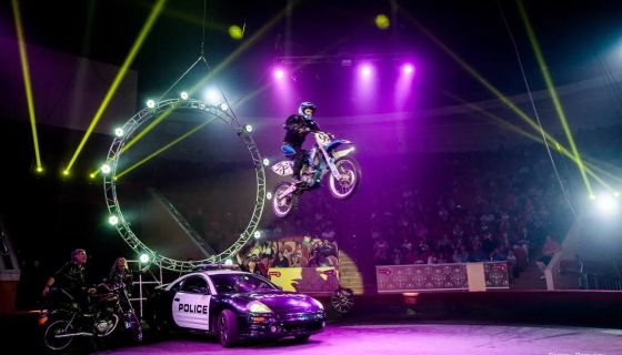 Цирк-шапито «Золото Африки»