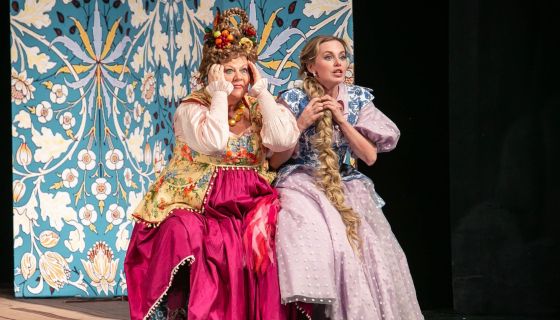 Спектакль «Не в свои сани не садись»