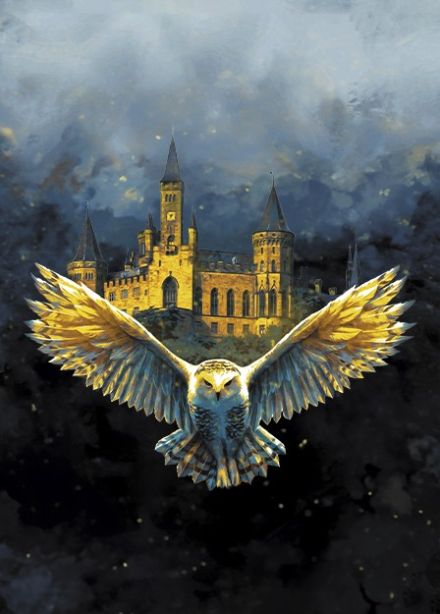 Оркестр Sonorus. Гарри Поттер