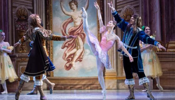 Балет «Спящая красавица», Удомля