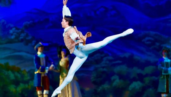 Балет «Спящая красавица», Удомля