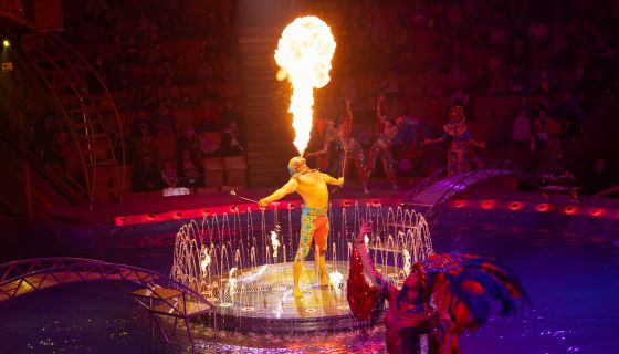 Цирк на воде. Шевченко-шоу