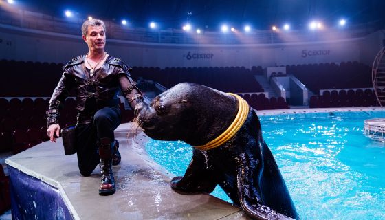 Цирк на воде. Шевченко-шоу