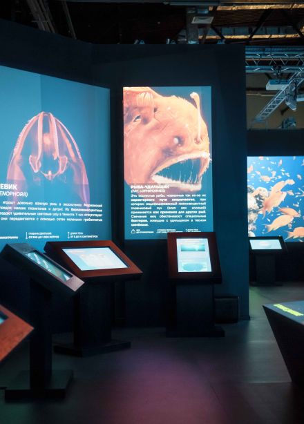 Планета Океан