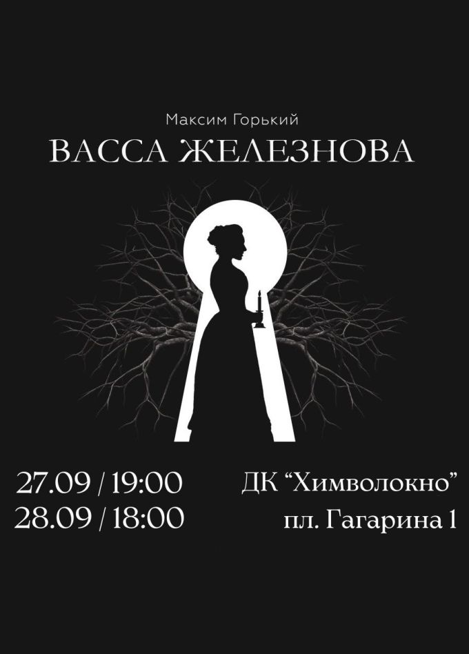 Спектакль «Васса Железнова»