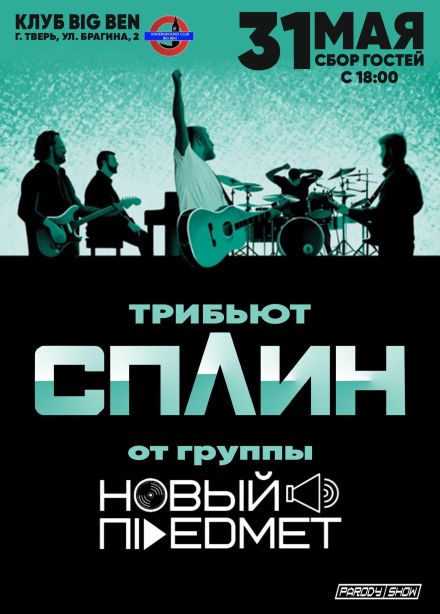 Новый предмет. Трибьют группы «Сплин»